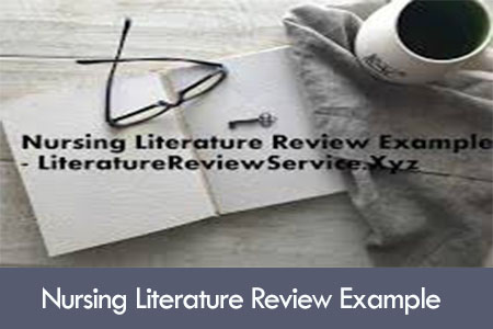 nursing literature review example