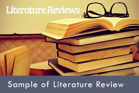 how would you go about doing a literature review in the area of customer satisfaction