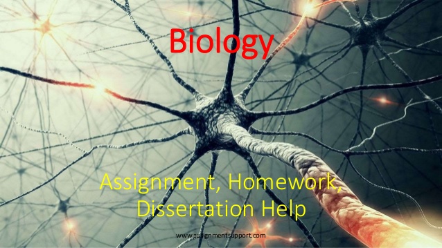 Biology Dissertation Help Online Dissertation Help